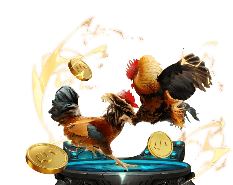 Tổng quan các loại khuyến mãi May88 đa dạng